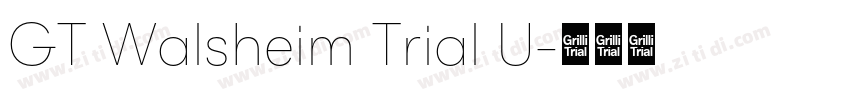 GT Walsheim Trial U字体转换